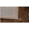 Image 4 : Area Rug C