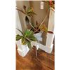 Image 2 : Plant Stand, Plant A