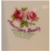 Image 6 : Royal Albert American Beauty A