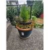 Image 1 : Ceramic Planter A