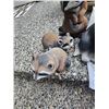 Image 6 : Animal Garden Decor A