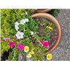 Image 3 : Ceramic Planter A