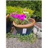 Image 1 : Ceramic Planter A