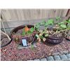 Image 1 : Ceramic Planters A