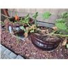 Image 4 : Ceramic Planters A