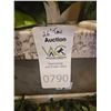 Image 10 : Plant Stands & Faux Greenery B