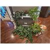 Image 1 : Plant Stands & Faux Greenery B