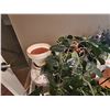 Image 6 : Plant Stands & Faux Greenery B