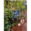 Image 8 : Plant Stands & Faux Greenery B