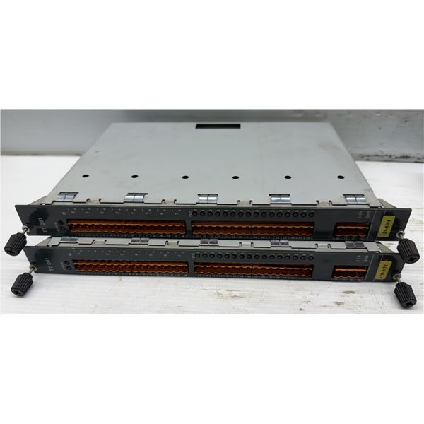 (2) Keba #TT 081 Temperature Control Modules