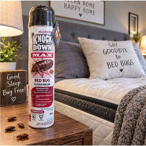 Knock Down Max Bed Bug & Flea Killer Spray 454g