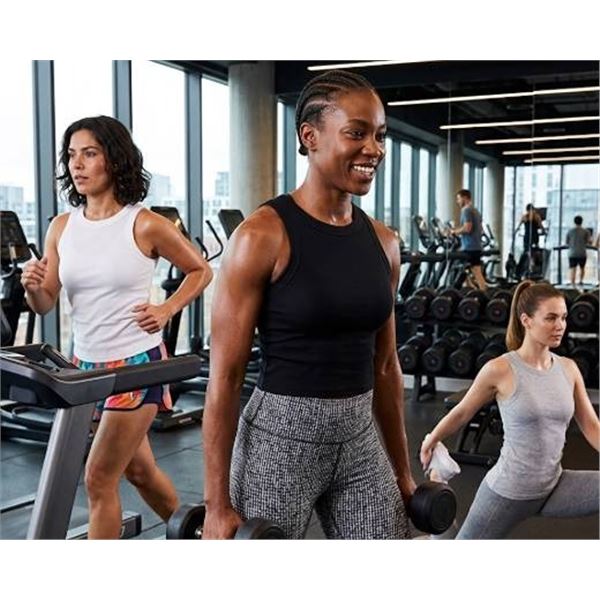 TAHARI Ribbed Cotton Tank Top 3-Pack Size M
