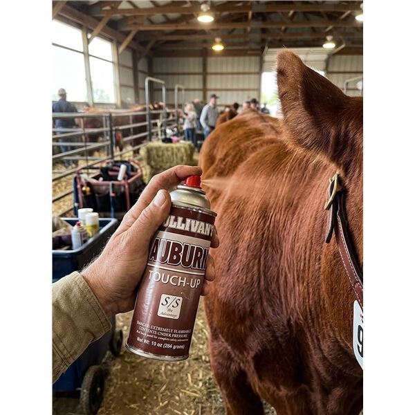 Sullivan's Auburn Touch-Up Spray 284g, 12 Pack