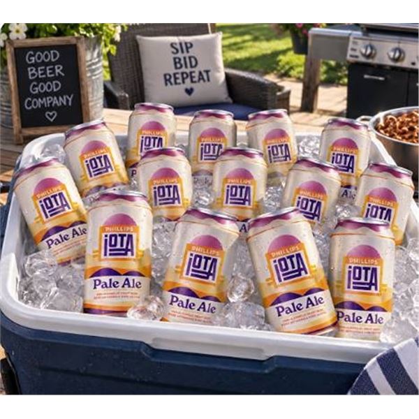 Phillips iOTA Non-Alcoholic Pale Ale, 8 x 355ml