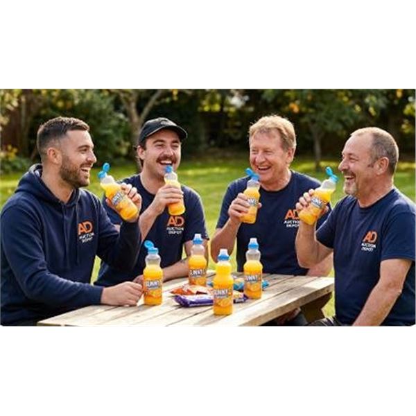 SunnyD Tangy Original 12 Bottles 500ml Each