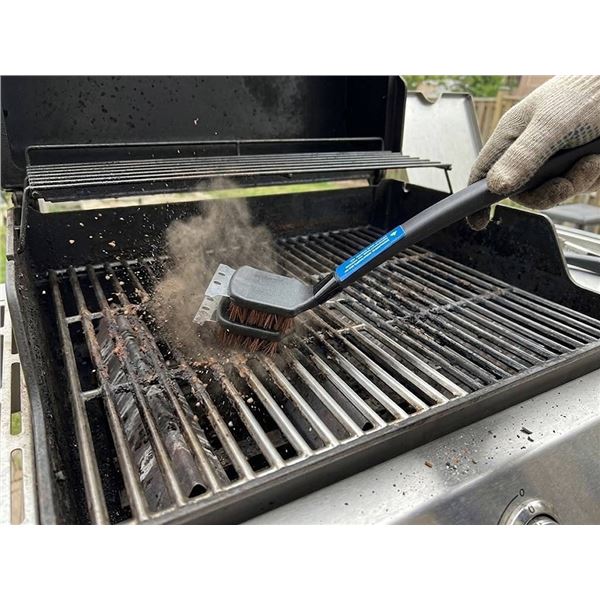 VALU+ 3 Pack 18" Palmyra Brush Set