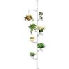 Image 1 : BAOYOUNI 7-Layer Indoor Plant Stands