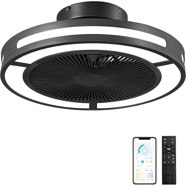 Intelligent Fan Light With Remote Control