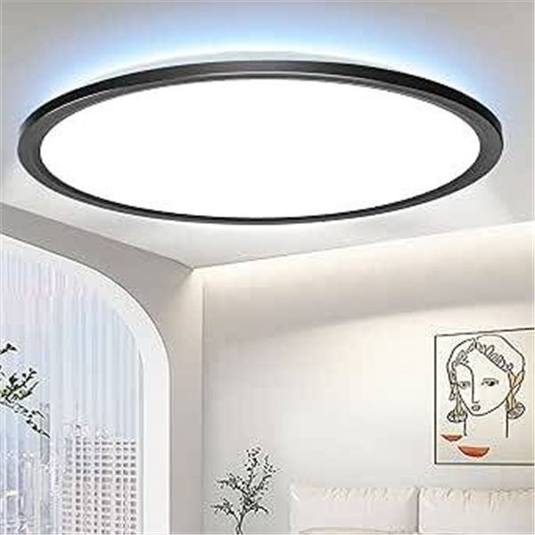 Ganeed 197 Inch Dimmable LED Ceiling Lamp