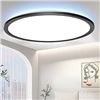 Image 1 : Ganeed 19.7 Inch Dimmable LED Ceiling Lamp