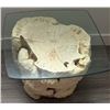 Image 8 : Square Glass-Top Side Table with Natural Wood Burl Base and Metal Desk Lamp