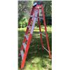 Image 1 : Fibreglass Step Ladder, Six-Foot, Professional Series