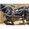 Image 4 : Large Belgian Draught horse