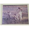Image 2 : Robert Batman - "Lions at Dawn" (18.25"x 16.5"