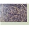Image 3 : Robert Batman - "Lions at Dawn" (18.25"x 16.5"