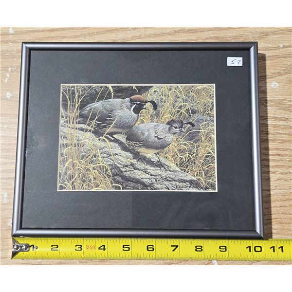 Robert Batman - "Gambel's Quail" (8.25"x 10.25")
