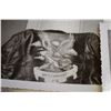 Image 3 : Interesting Photographs (Motorcycle Jacket, Pin-Up Girl Wall, and more)