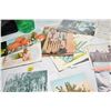 Image 5 : Vintage Postcard Lot