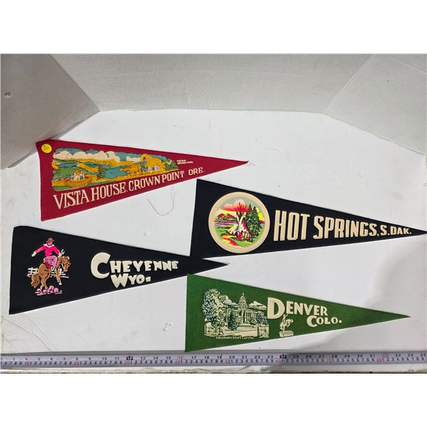 (4) US Pendants – Oregon, South Dakota, Colorado, Wyoming