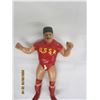 Image 3 : 1003. 2 Vintage 1986 LJN Wrestling Figures