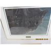 Image 2 : 1025. Robert Bateman Star Light Cougar Signed and Numbered Print with a Certificate of Authenticity