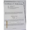 Image 7 : 1025. Robert Bateman Star Light Cougar Signed and Numbered Print with a Certificate of Authenticity