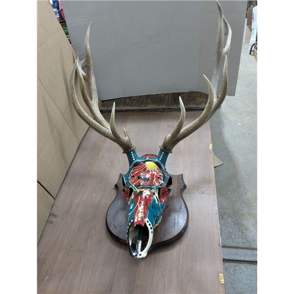 Mounted Indigenous Skull Art