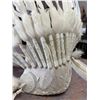 Image 5 : White Feathered Headdress, 30" Across