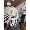 Image 7 : White Feathered Headdress, 30" Across