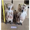 Image 1 : (2) Owls