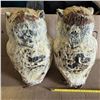 Image 3 : (2) Owls