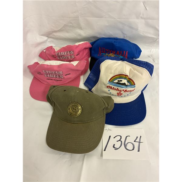 Assorted Hat Lot