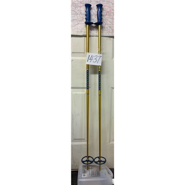 K2 Downhill Ski Poles – 49” (125 cm)