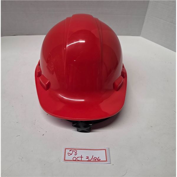 NEW Dynamic Type 1 Safety Hat