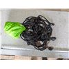 Image 1 : Patio String Lights (inc. some bulbs)