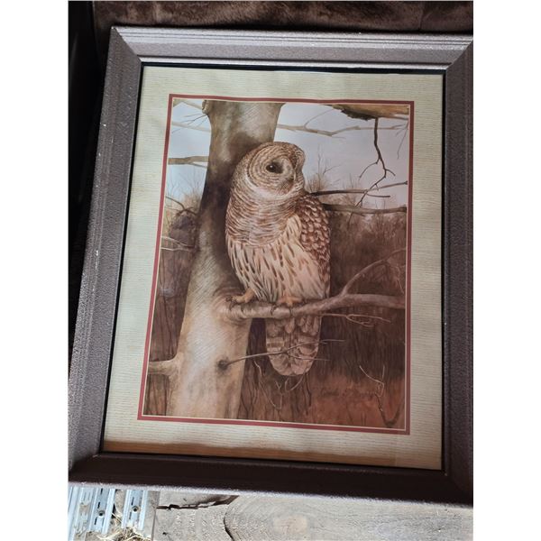 Framed Owl Print, 18.5”x 22.5”