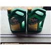 Image 1 : 2 full jugs of 5W-20 oil