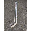 Image 1 : (2) Titan Hockey Sticks