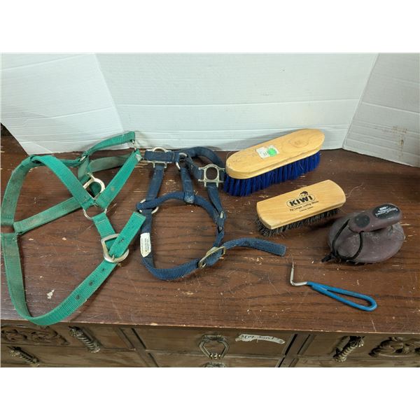 Horse Tack Lot inc. Halters, Brushes, Hoof Pic