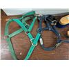 Image 2 : Horse Tack Lot inc. Halters, Brushes, Hoof Pic